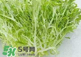 苦菊能和羊肉一起吃嗎？苦菊可以和羊肉一起吃嗎