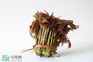 香椿樹什么時(shí)候發(fā)芽？香椿樹什么時(shí)候種植