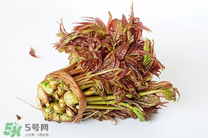 香椿樹什么時(shí)候發(fā)芽？香椿樹什么時(shí)候種植