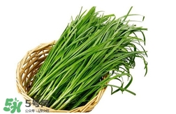 苦菊能和韭菜一起吃嗎？苦菊可以和韭菜一起吃嗎