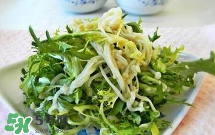 苦菊用不用焯水？涼拌苦菊用開水焯水嗎