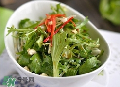 苦菊苦嗎？苦菊苦不苦