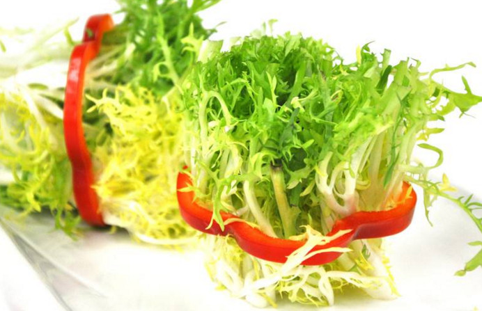 苦菊和什么相克？苦菊不能和什么同吃