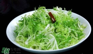 苦菊怎么吃好吃？苦菊怎么做好吃