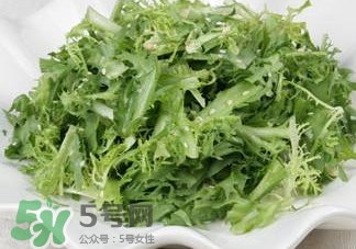 苦菊吃多了好嗎？苦菊吃多了好不