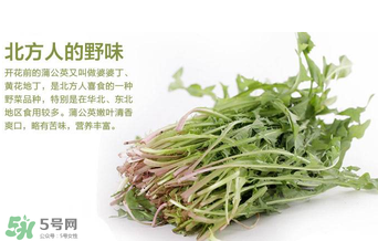 婆婆丁不能與什么同食？婆婆丁不能和什么一起吃？