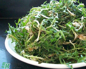 婆婆丁怎么吃？婆婆丁怎么吃最好？
