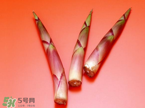 竹筍什么人不能吃？哪些人不適合吃竹筍？