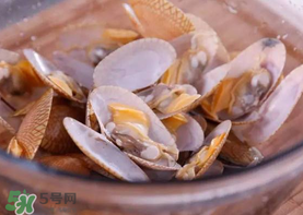 花甲怎么養(yǎng)不會死？花甲怎么養(yǎng)到用第二天？