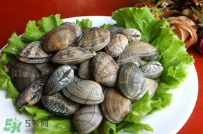 花甲不開(kāi)口怎么辦？怎么讓花甲開(kāi)口？