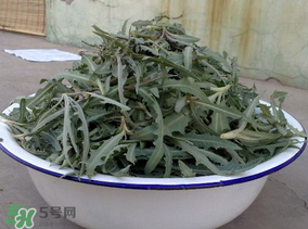 苦苦菜和蒲公英的區(qū)別 苦苦菜和蒲公英有什么區(qū)別？