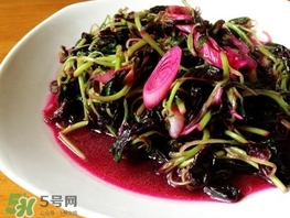 莧菜怎么摘？莧菜怎么處理