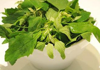灰灰菜怎么吃？灰灰菜的吃法