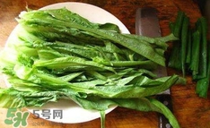 萵苣葉是什么？生菜是不是萵苣葉子