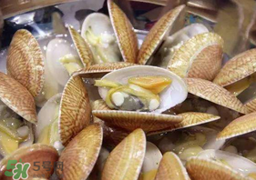 花甲什么部位不能吃？花甲哪里不能吃圖解？