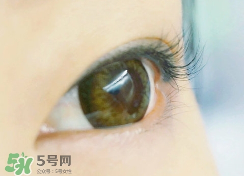 貝印和muji睫毛夾哪個(gè)好？貝印和無印良品睫毛夾對(duì)比
