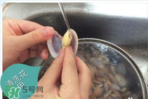 芒果螺怎么清洗？芒果螺怎么吃