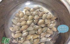 芒果螺怎么清洗？芒果螺怎么吃