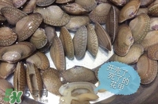 芒果螺怎么清洗？芒果螺怎么吃