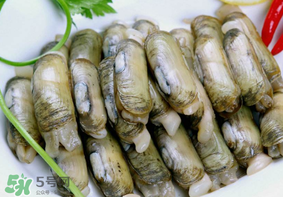 蟶子不能和什么一起吃？蟶子和什么不能一起吃？