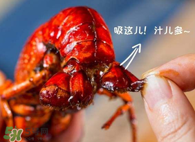 吃油燜大蝦會(huì)胖嗎？油燜大蝦的熱量是多少？