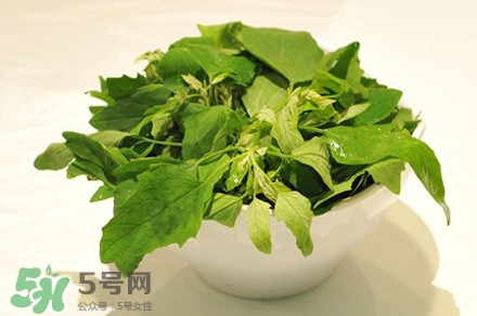 灰灰菜有什么功效？灰灰菜有什么營(yíng)養(yǎng)價(jià)值
