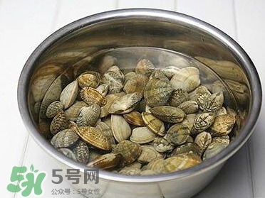芒果螺孕婦能吃嗎？芒果螺孕婦可以吃嗎