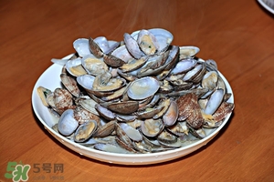 芒果螺怎么清洗？芒果螺怎么吃