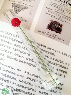 kenzo香水一枝花多少錢？kenzo一枝花香水怎么樣價(jià)格