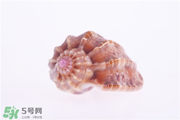 海螺的尾部能吃嗎？海螺的尾巴可以吃嗎