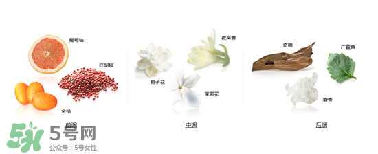 郎朗香水是什么牌子？郎朗香水是什么檔次？
