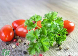 四月份可以種香菜嗎？四月份還能種香萊嗎？