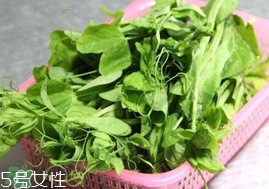 豌豆苗怎么做好吃？豌豆苗的做法