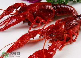 龍蝦發(fā)苦怎么回事？龍蝦發(fā)苦能吃嗎？