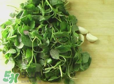 野莧菜能吃嗎？野莧菜圖片