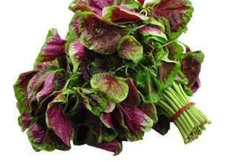 野莧菜能吃嗎？野莧菜圖片
