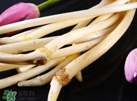 藕帶什么時(shí)候有？藕帶什么時(shí)候上市