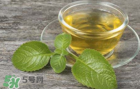 薄荷泡水喝有什么好處？薄荷葉泡水的功效