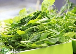 豌豆苗怎么做好吃？豌豆苗的做法