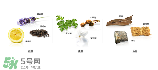 郎朗香水是什么牌子？郎朗香水是什么檔次？