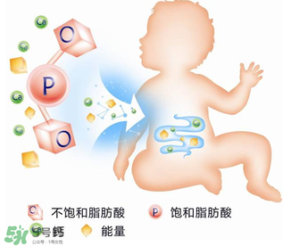 kabrita佳貝艾特羊奶粉怎么樣？kabrita佳貝艾特羊奶粉好不好？