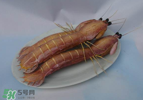 皮皮蝦死了還能吃嗎？皮皮蝦死了多久還能吃？