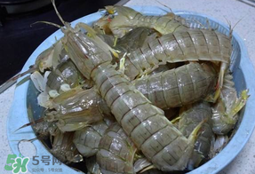 皮皮蝦死的怎么清洗？死的皮皮蝦怎么清洗？