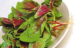 莧菜怎么吃？莧菜怎么炒
