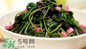 莧菜怎么吃？莧菜怎么炒