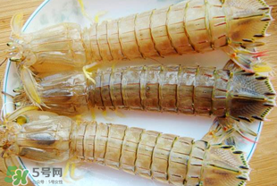 蝦爬子多少錢一斤？2017蝦爬子價格