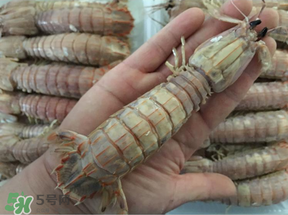 蝦爬子是蒸還是煮？蝦爬子蒸好還是煮好？