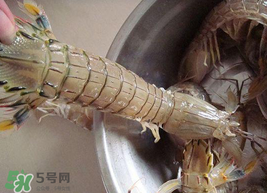 皮皮蝦可以放冰箱嗎？皮皮蝦能放冰箱保存嗎？