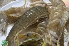 皮皮蝦可以放冰箱嗎？皮皮蝦能放冰箱保存嗎？