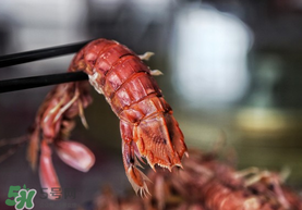 熟皮皮蝦隔夜還能吃嗎？煮熟的皮皮蝦隔夜能吃嗎？